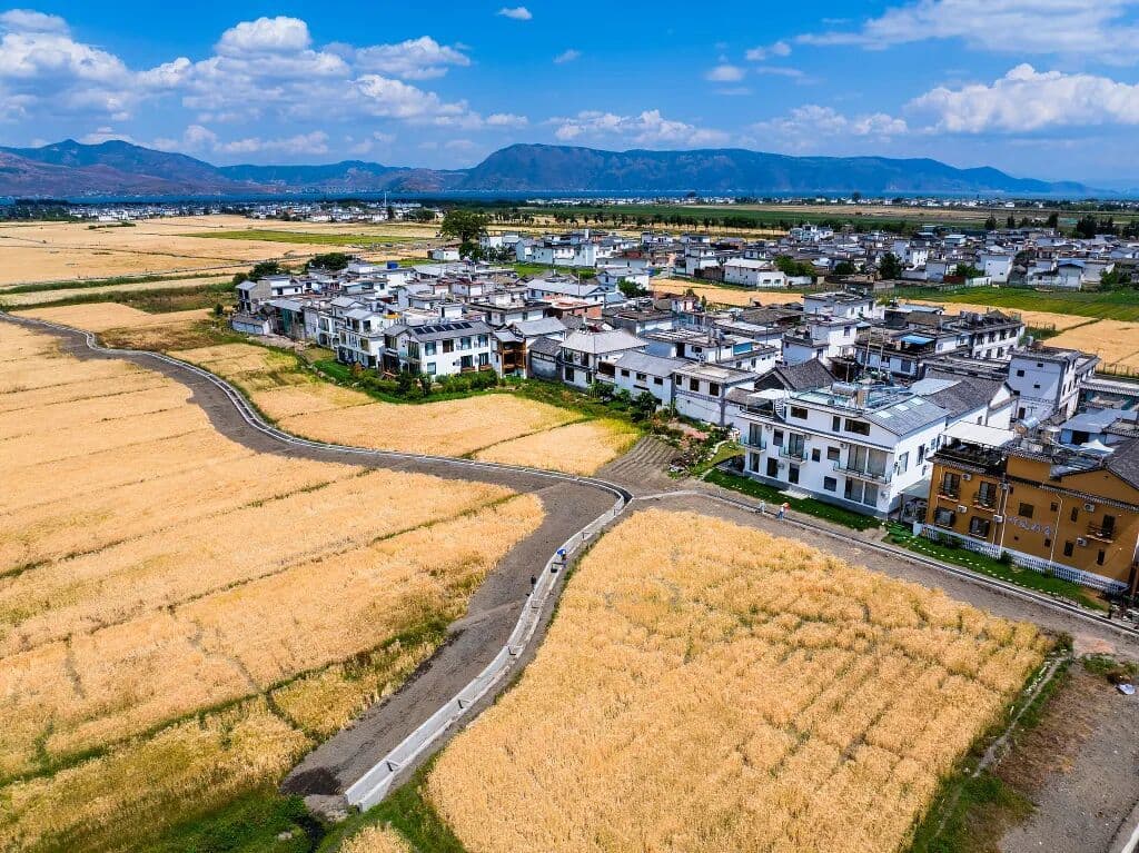 未来人类学家｜熊志颖：制作咖啡与编织文化——当代西镇的“陌生人”研究