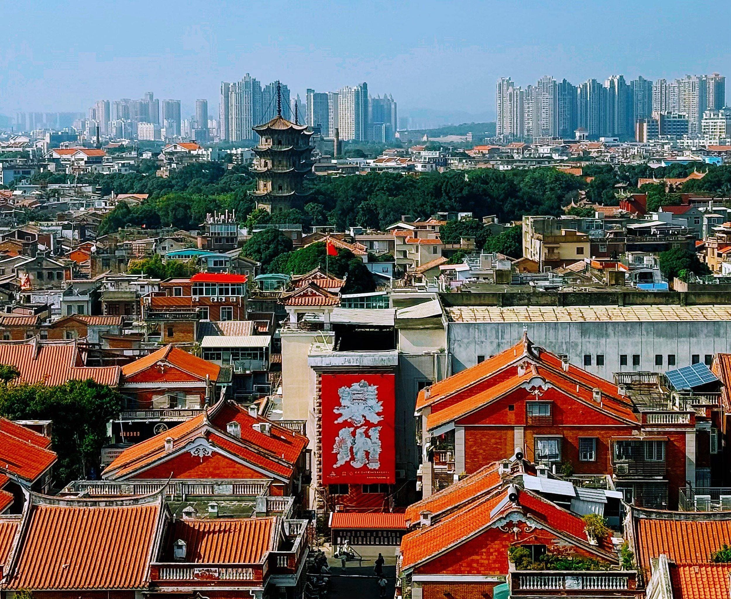 刺桐幻境:广义人文关系的田野实验